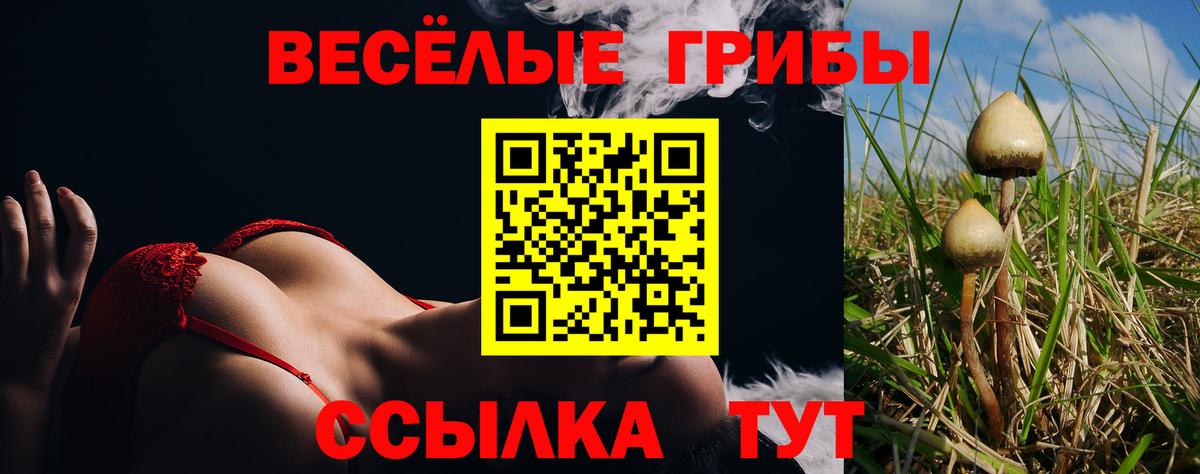 Галлюциногенные грибы мухоморы  Вход с VPN  Галлюциногенные грибы MAGIC MUSHROOMS  Лыткарино 